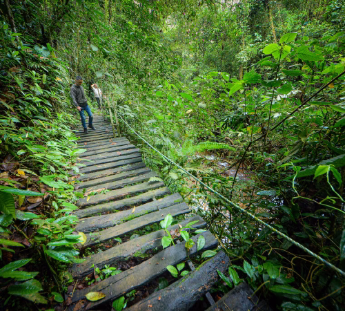 CHH657ELUJFHXAPSBPARMWJ7WY